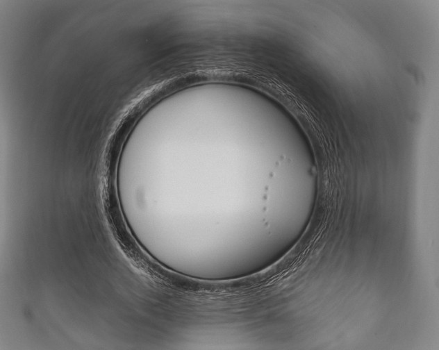 X0000111860728200907231130