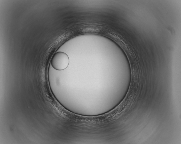 X0000111860729200907231130