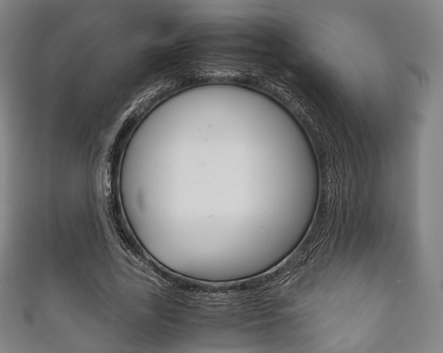 X0000111860731200907231130