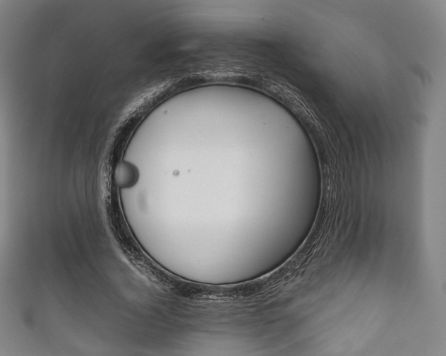X0000111860732200907231130