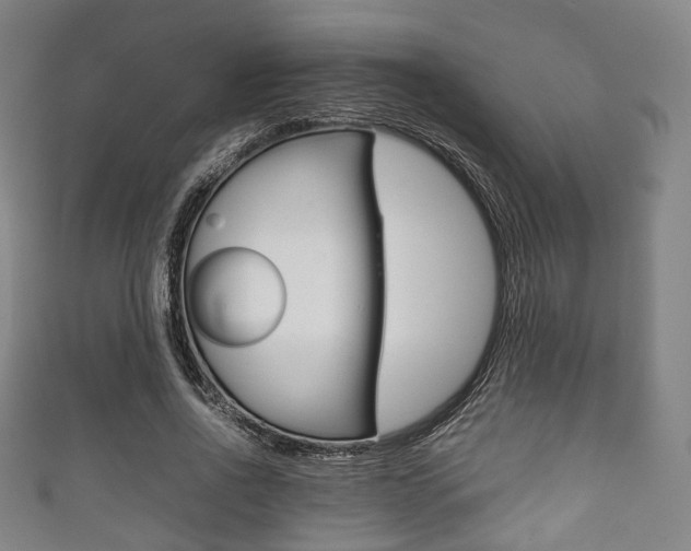 X0000111860734200907231130
