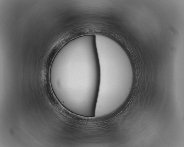 X0000111860735200907231130