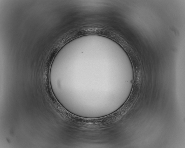 X0000111860737200907231130