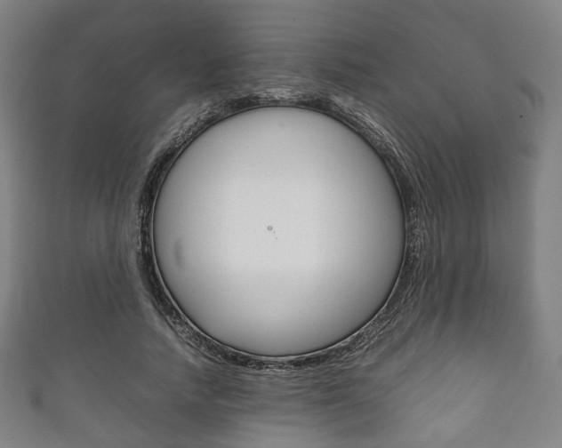 X0000111860738200907231130