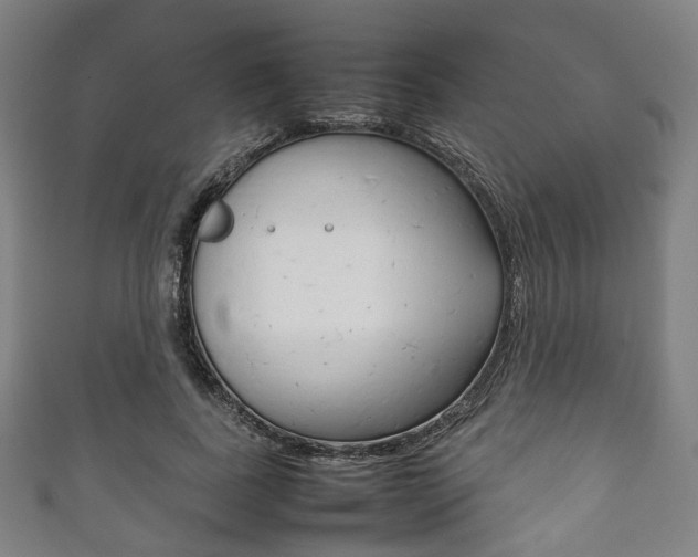 X0000111860739200907231130