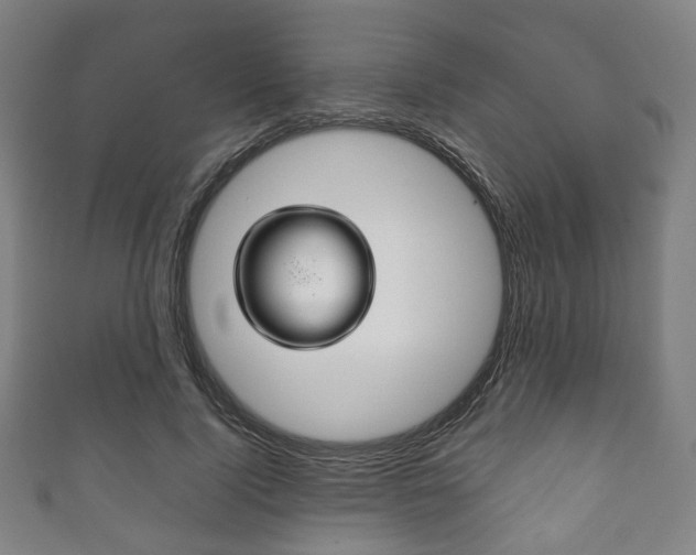 X0000111860740200907231130