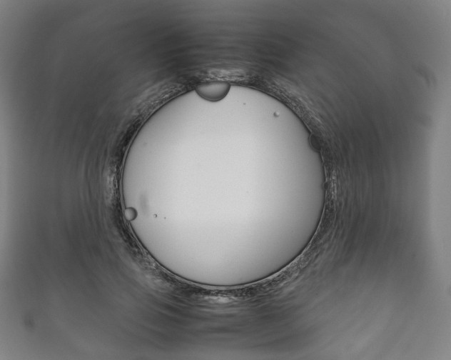 X0000111860741200907231130
