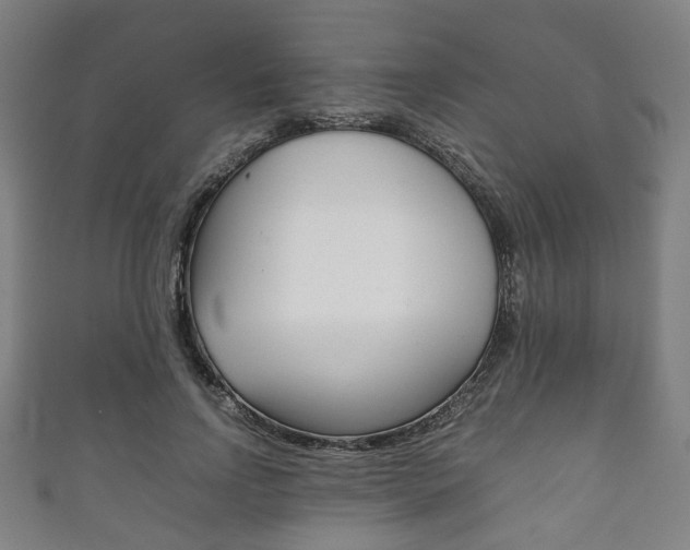 X0000111860742200907231130
