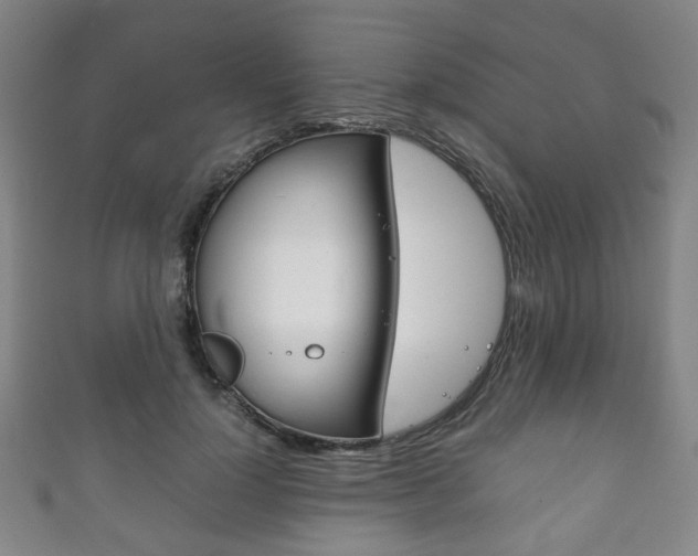 X0000111860748200907231130