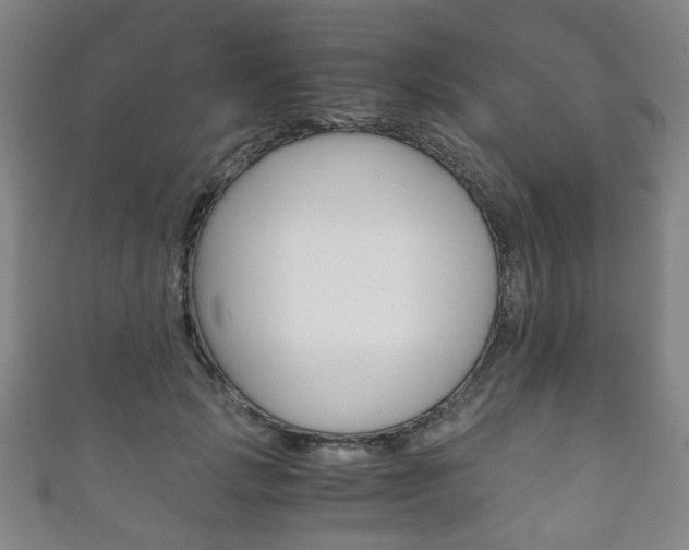 X0000111860749200907231130