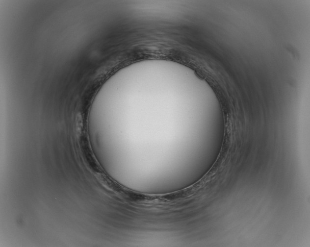 X0000111860752200907231130