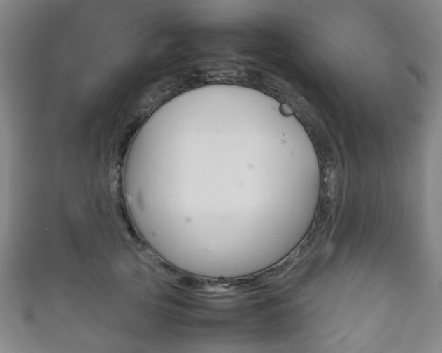 X0000111860753200907231130