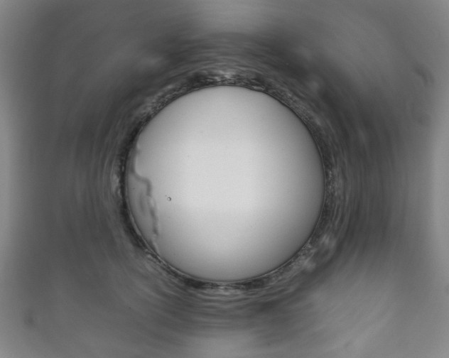 X0000111860754200907231130