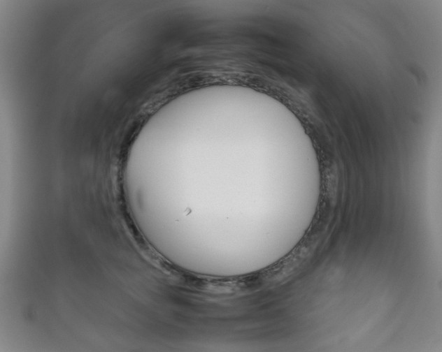 X0000111860757200907231130