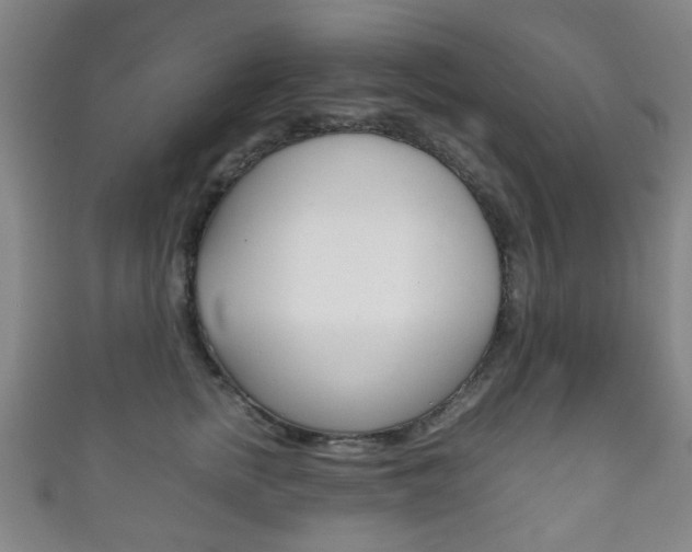 X0000111860758200907231130