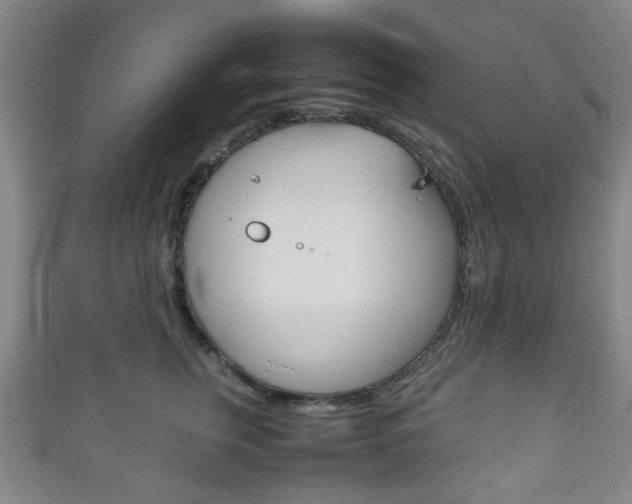 X0000111860759200907231130
