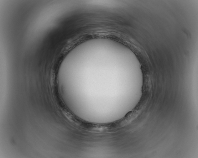 X0000111860760200907231130