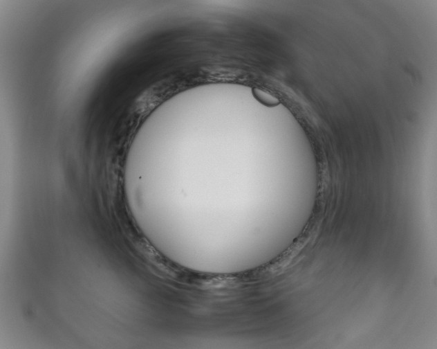 X0000111860761200907231130