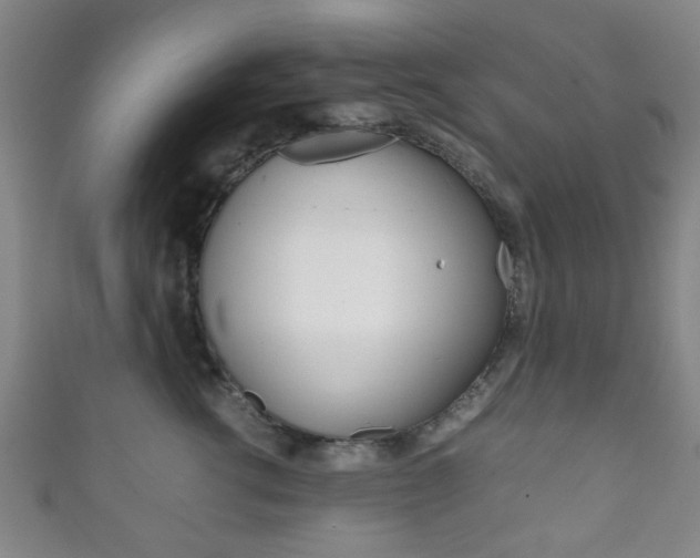 X0000111860762200907231130