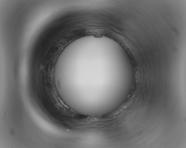 X0000111860764200907231130
