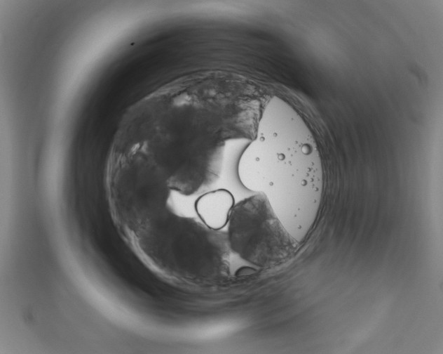 X0000111860765200907231130