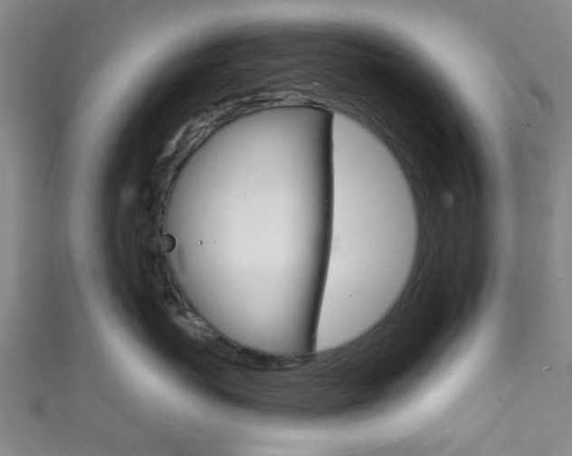 X0000111860767200907231131