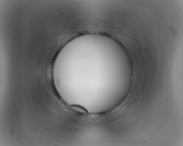 X0000111860768200907231131