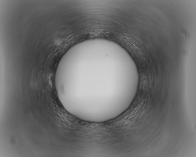 X0000111860770200907231130
