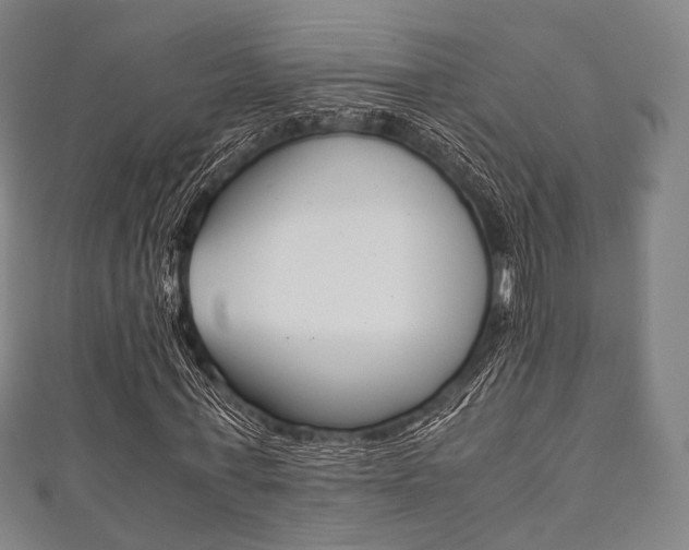 X0000111860771200907231130