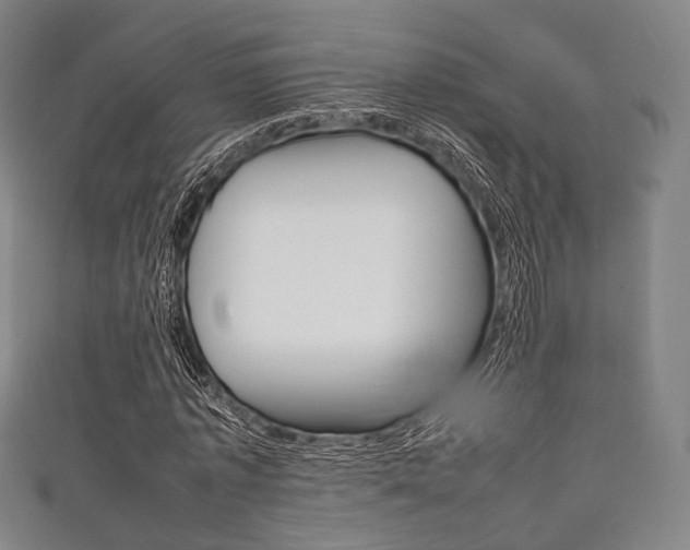 X0000111860773200907231130