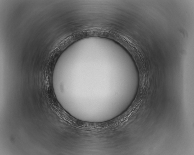 X0000111860774200907231130