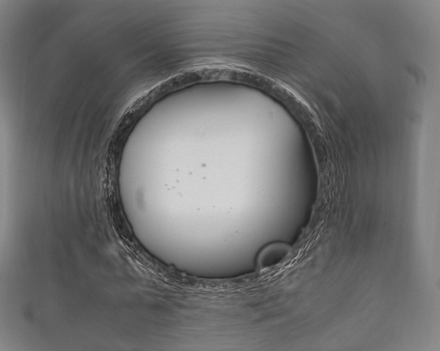 X0000111860775200907231130