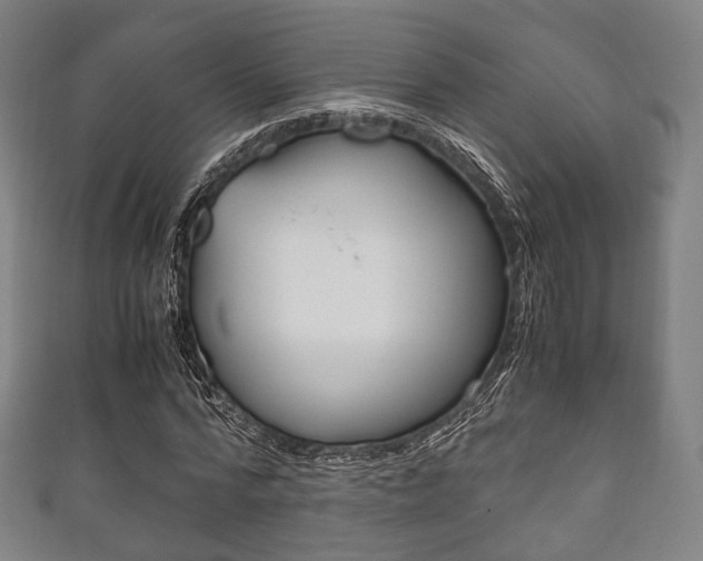 X0000111860776200907231130