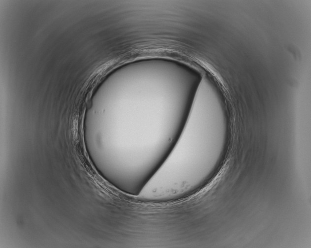 X0000111860777200907231130