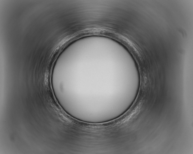 X0000111860778200907231130