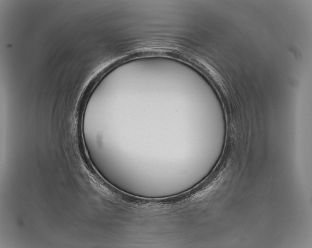 X0000111860779200907231130
