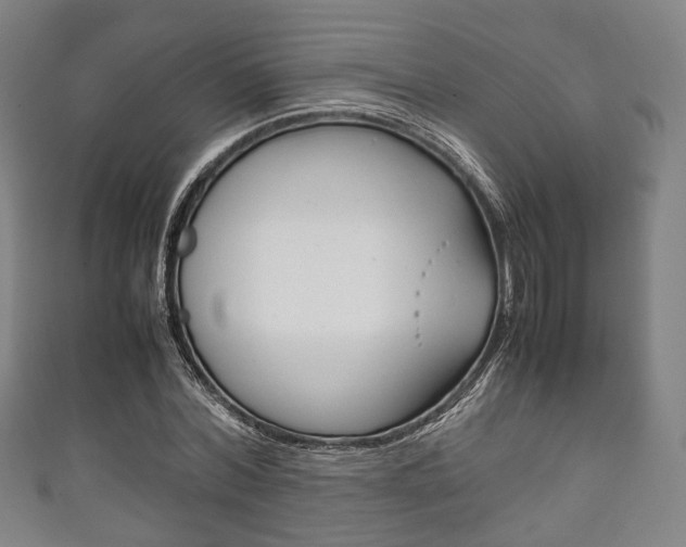 X0000111860780200907231130
