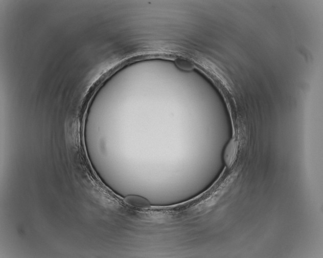 X0000111860781200907231130