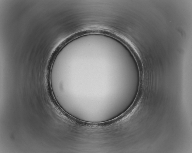 X0000111860783200907231130