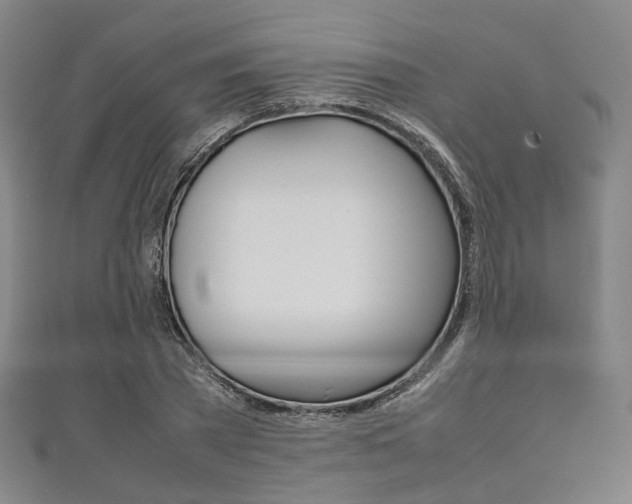 X0000111860785200907231130