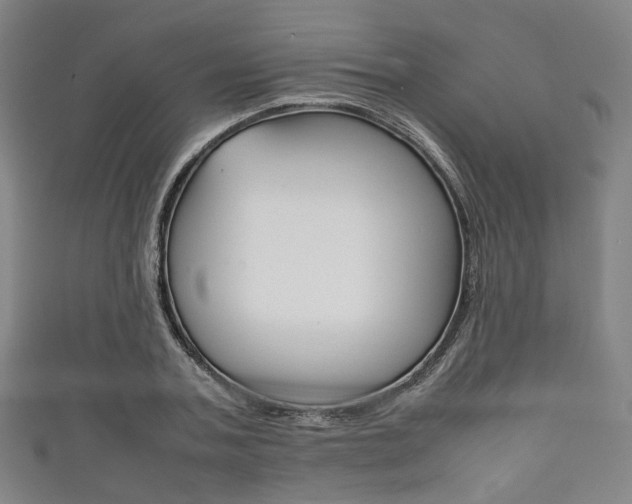X0000111860787200907231129