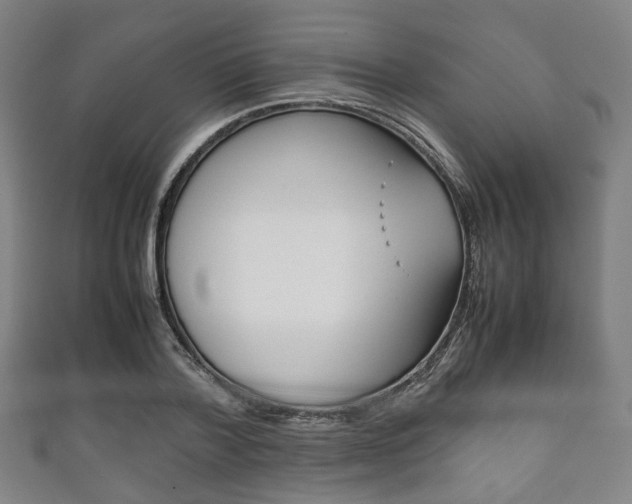 X0000111860788200907231129