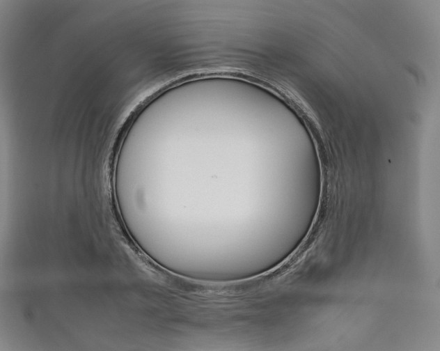 X0000111860789200907231129