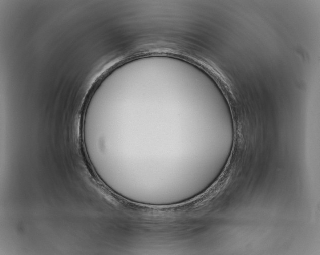 X0000111860790200907231129