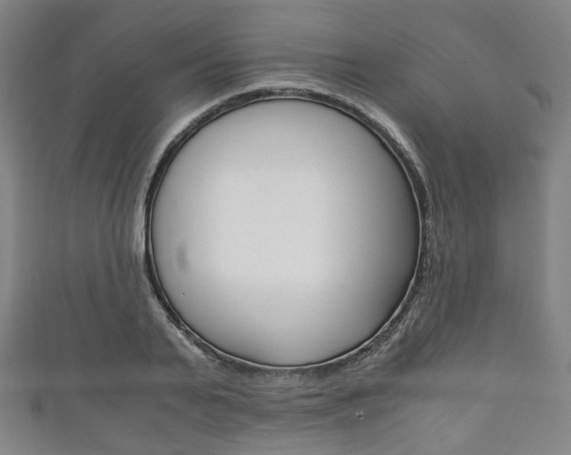X0000111860791200907231129