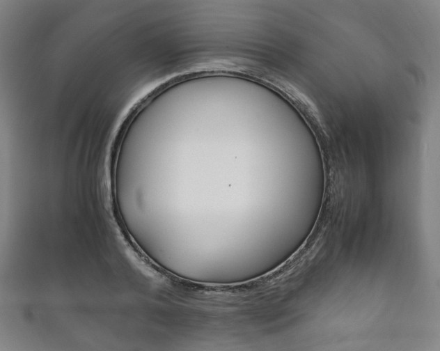 X0000111860792200907231129