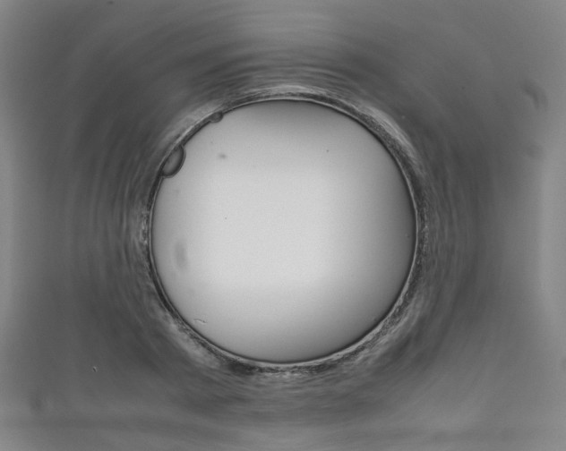 X0000111860793200907231129