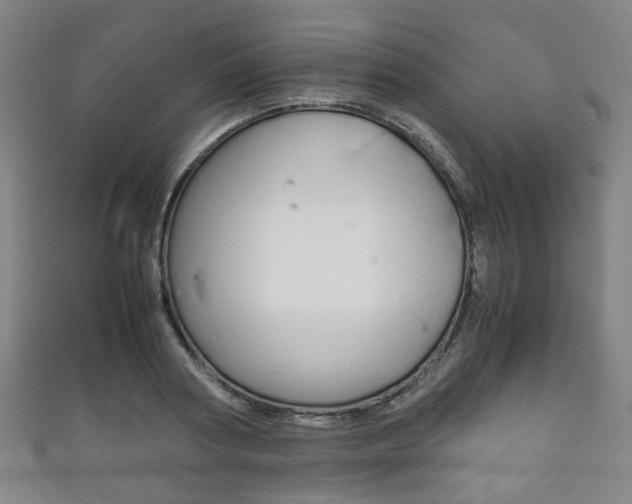 X0000111860794200907231129