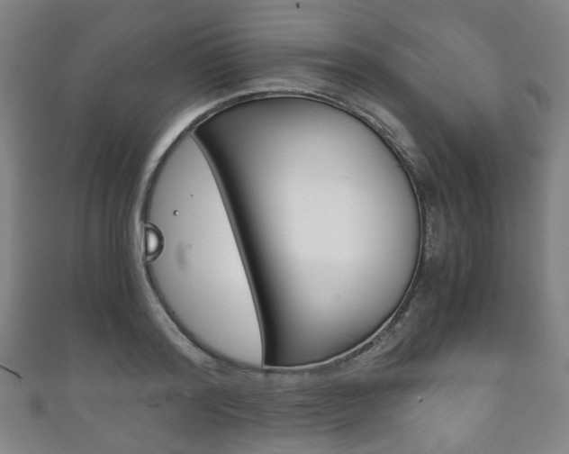 X0000111860796200907231129