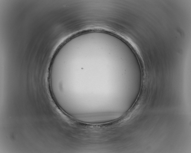 X0000111860799200907231129